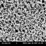 Mixed Cellulose Ester Membranes-Plain ME 24, Gridded